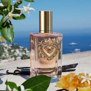 Devotion Dolce & Gabbana - Decant